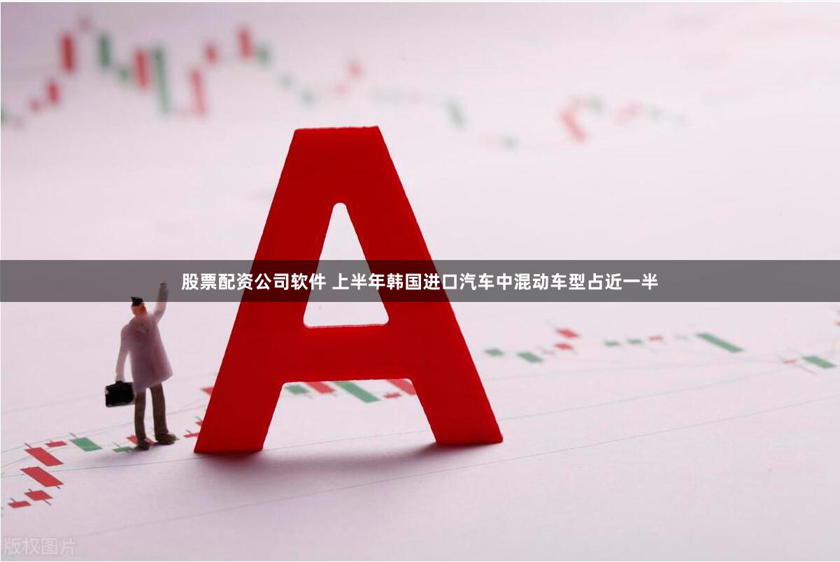 股票配资公司软件 上半年韩国进口汽车中混动车型占近一半