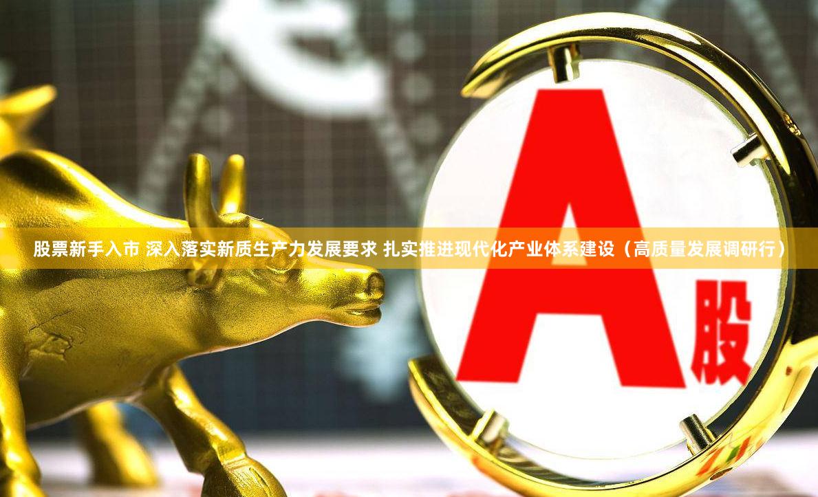 股票新手入市 深入落实新质生产力发展要求 扎实推进现代化产业体系建设（高质量发展调研行）