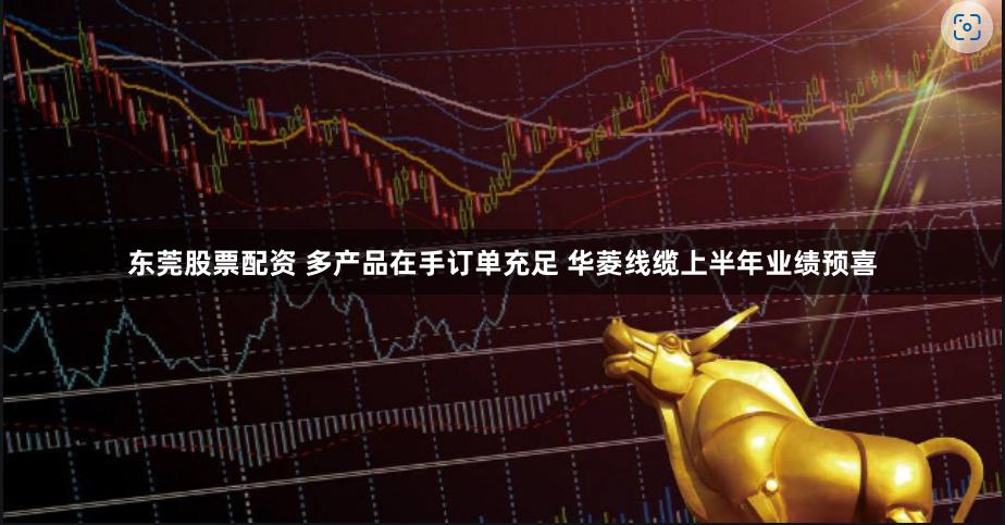 东莞股票配资 多产品在手订单充足 华菱线缆上半年业绩预喜