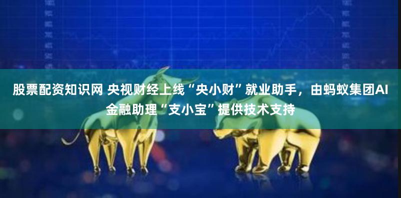 股票配资知识网 央视财经上线“央小财”就业助手，由蚂蚁集团AI金融助理“支小宝”提供技术支持