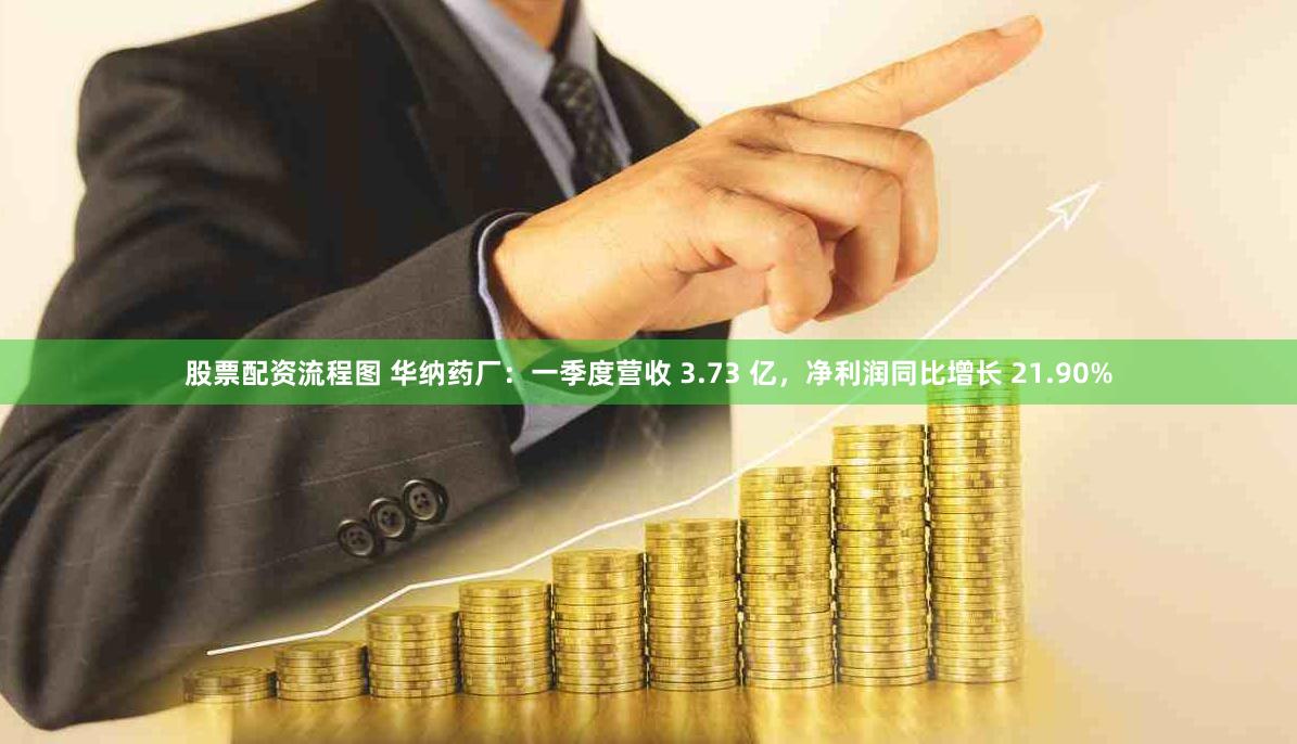 股票配资流程图 华纳药厂：一季度营收 3.73 亿，净利润同比增长 21.90%