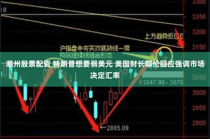 潮州股票配资 特朗普想要弱美元 美国财长耶伦回应强调市场决定汇率