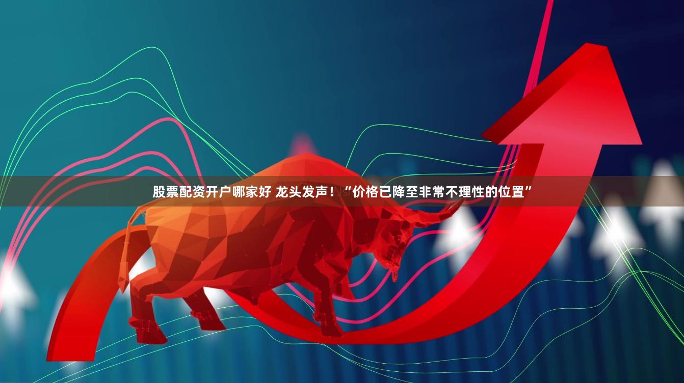 股票配资开户哪家好 龙头发声！“价格已降至非常不理性的位置”