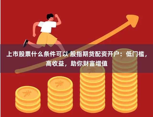 上市股票什么条件可以 股指期货配资开户：低门槛，高收益，助你财富增值