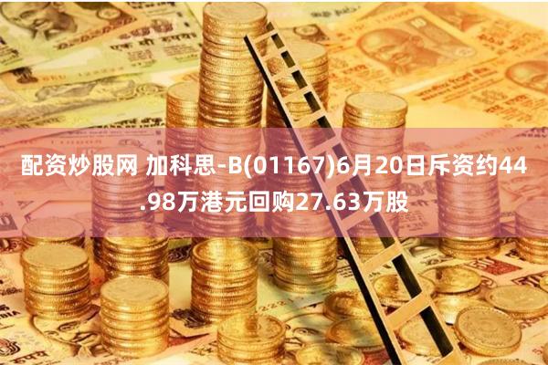 配资炒股网 加科思-B(01167)6月20日斥资约44.98万港元回购27.63万股
