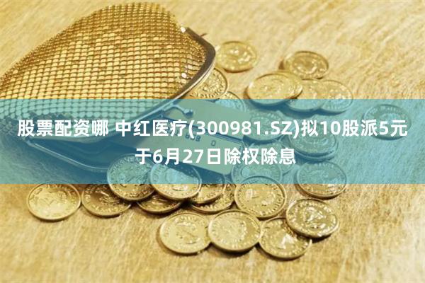 股票配资哪 中红医疗(300981.SZ)拟10股派5元 于6月27日除权除息