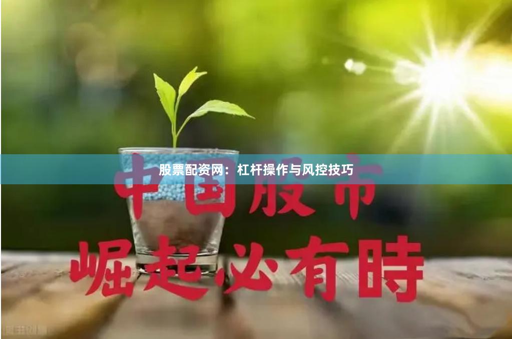 股票配资网：杠杆操作与风控技巧