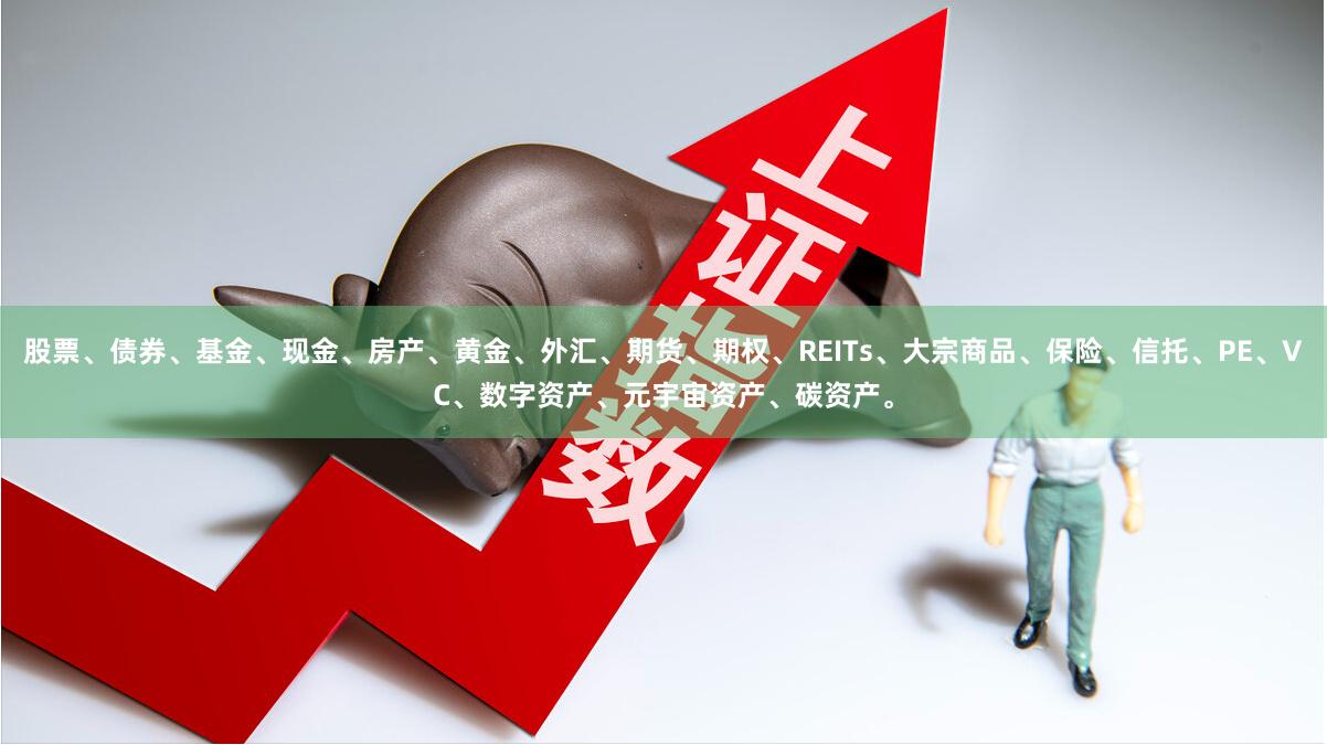 股票、债券、基金、现金、房产、黄金、外汇、期货、期权、REITs、大宗商品、保险、信托、PE、VC、数字资产、元宇宙资产、碳资产。