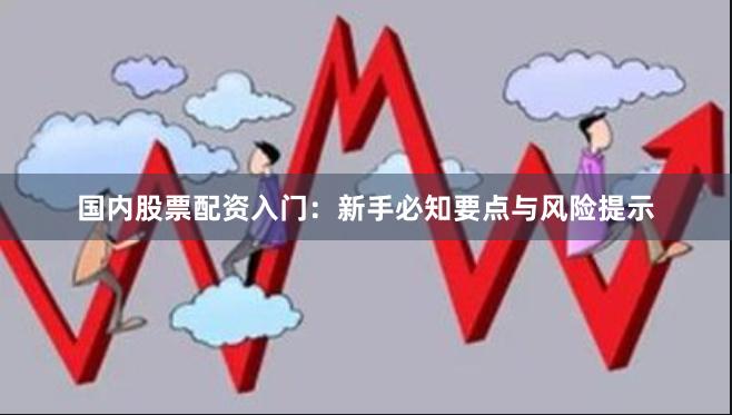 国内股票配资入门:新手必知要点与风险提示