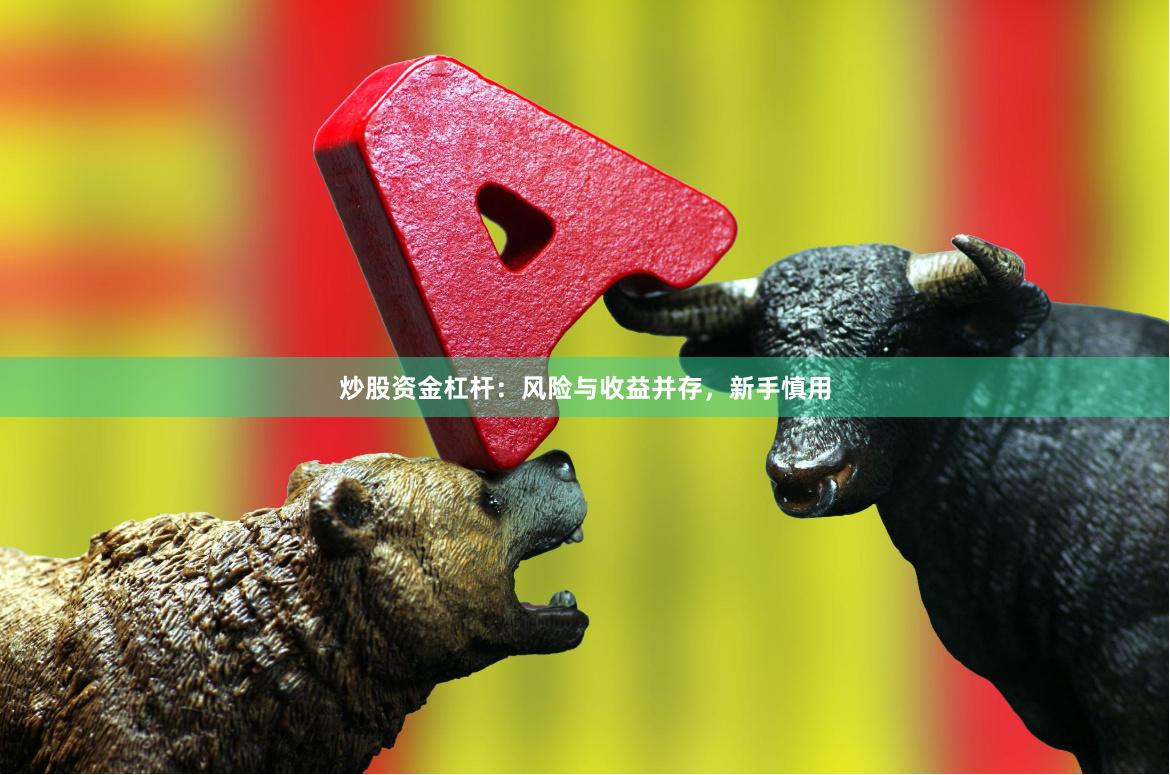 炒股资金杠杆:风险与收益并存,新手慎用